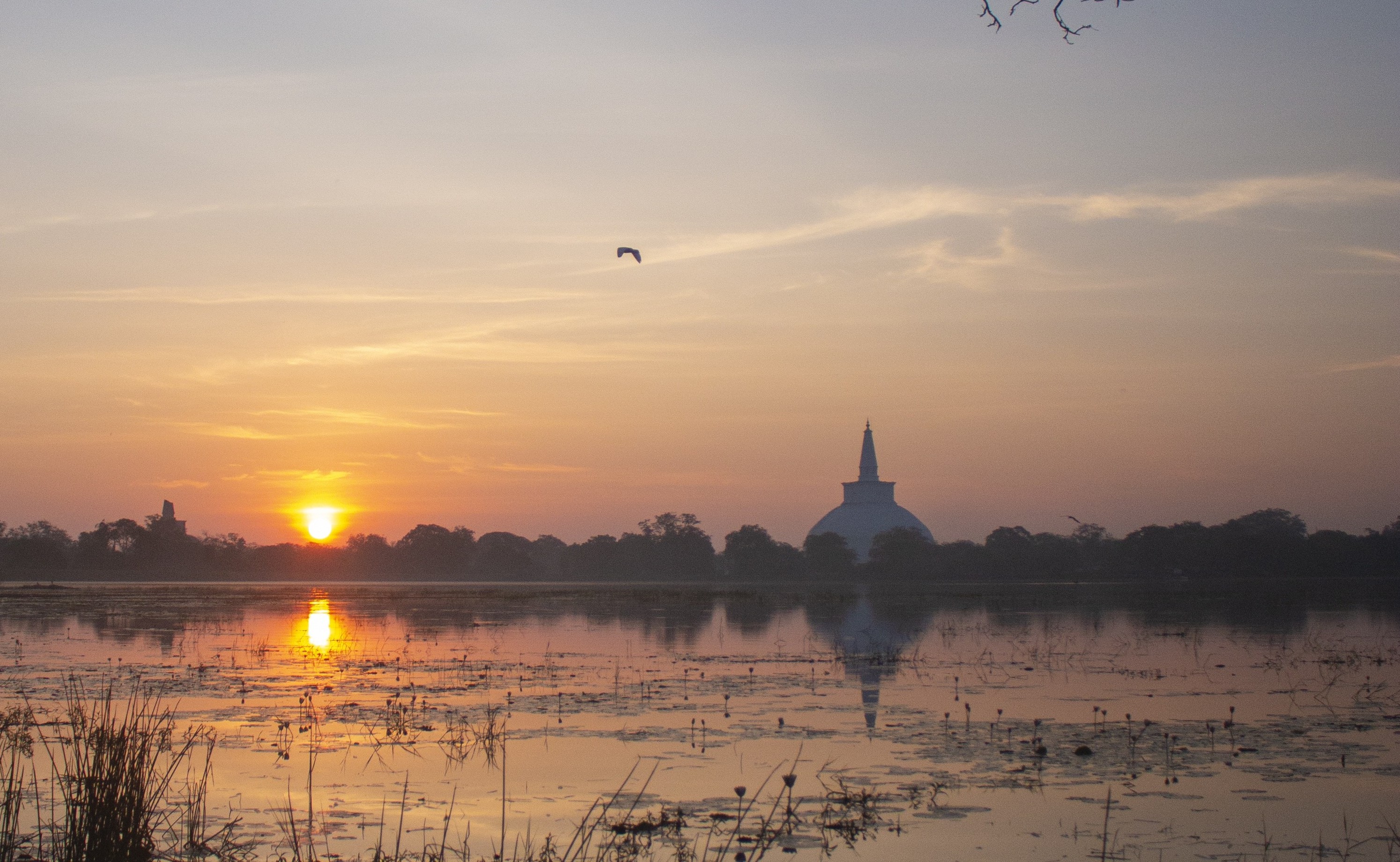 Summer Ceylon Holiday  tours lanka